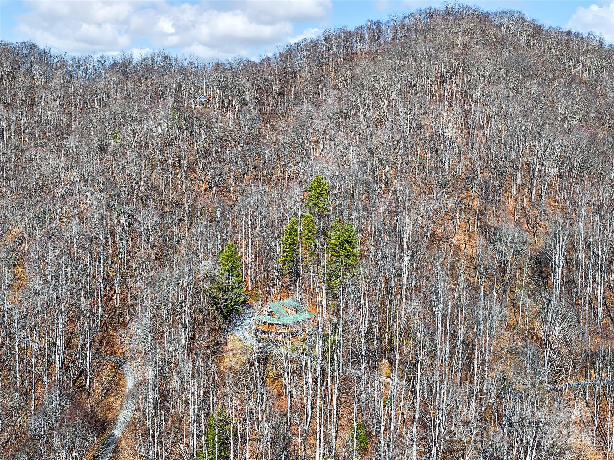 251 Jade Drive Clyde, NC 28721 - Photo 39 of 40 a view of a yard