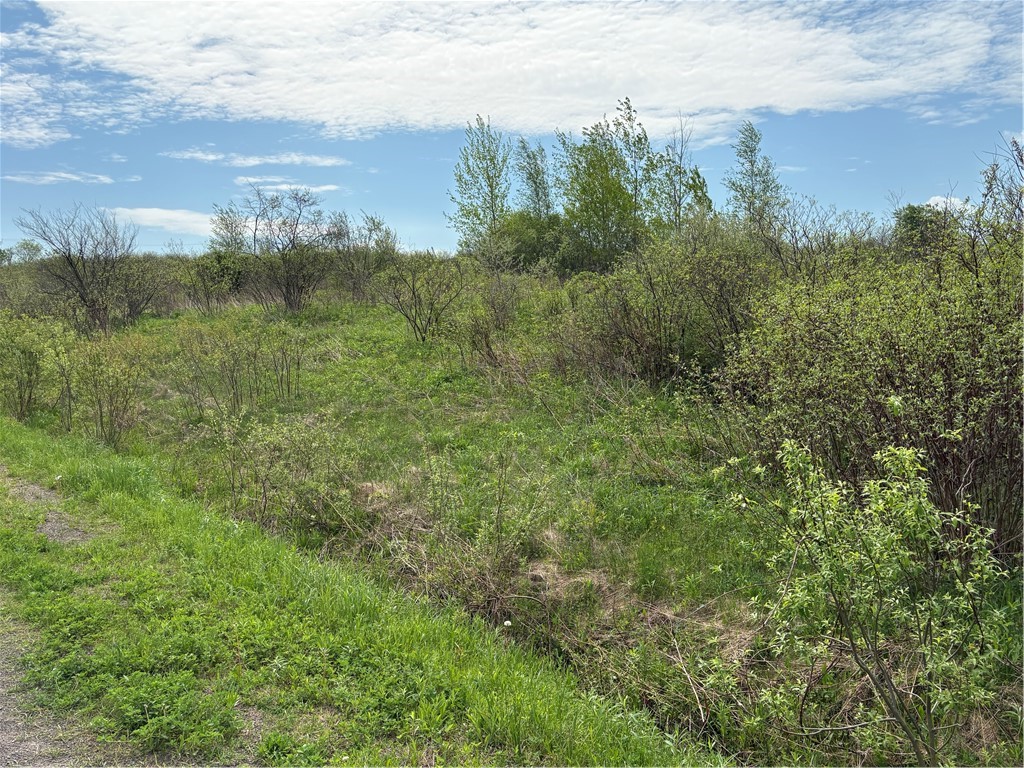 Wahlberg Road Guilford, NY 13780 - Photo 19 of 25