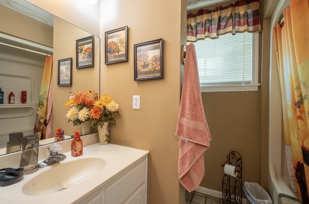 652 Old Florence Pulaski Road Leoma, TN 38468 - Photo 16 of 20 a bathroom with a sink vanity and a mirror