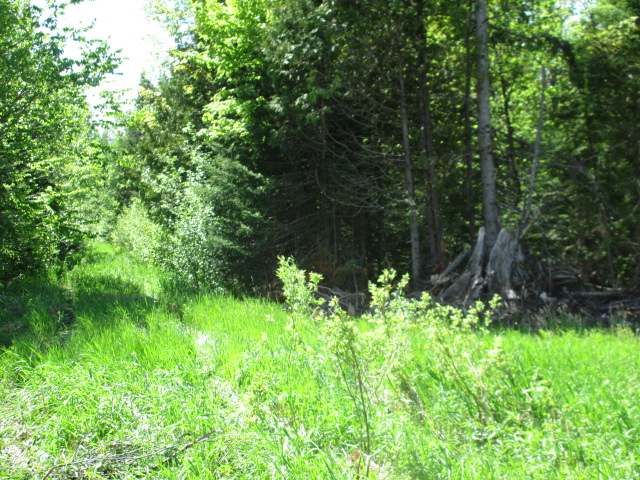 On On Kuusisto Road Hurley, WI 54534 - Photo 10 of 10 Gallery Image 10