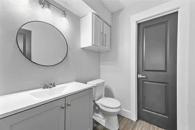 a bathroom with a toilet a sink and mirror