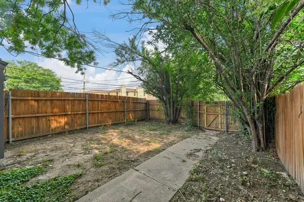 a view of backyard and tree