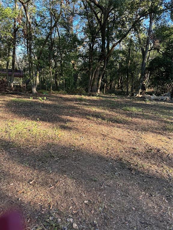 10141 Connerly Road Dade City, FL 33525 - Photo 5 of 12 Gallery Image 5