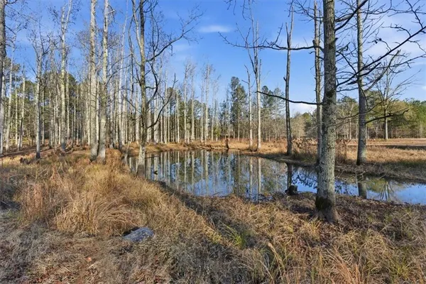 $740,000 | 11 Appaloosa Court, Taylorsville, GA 30178