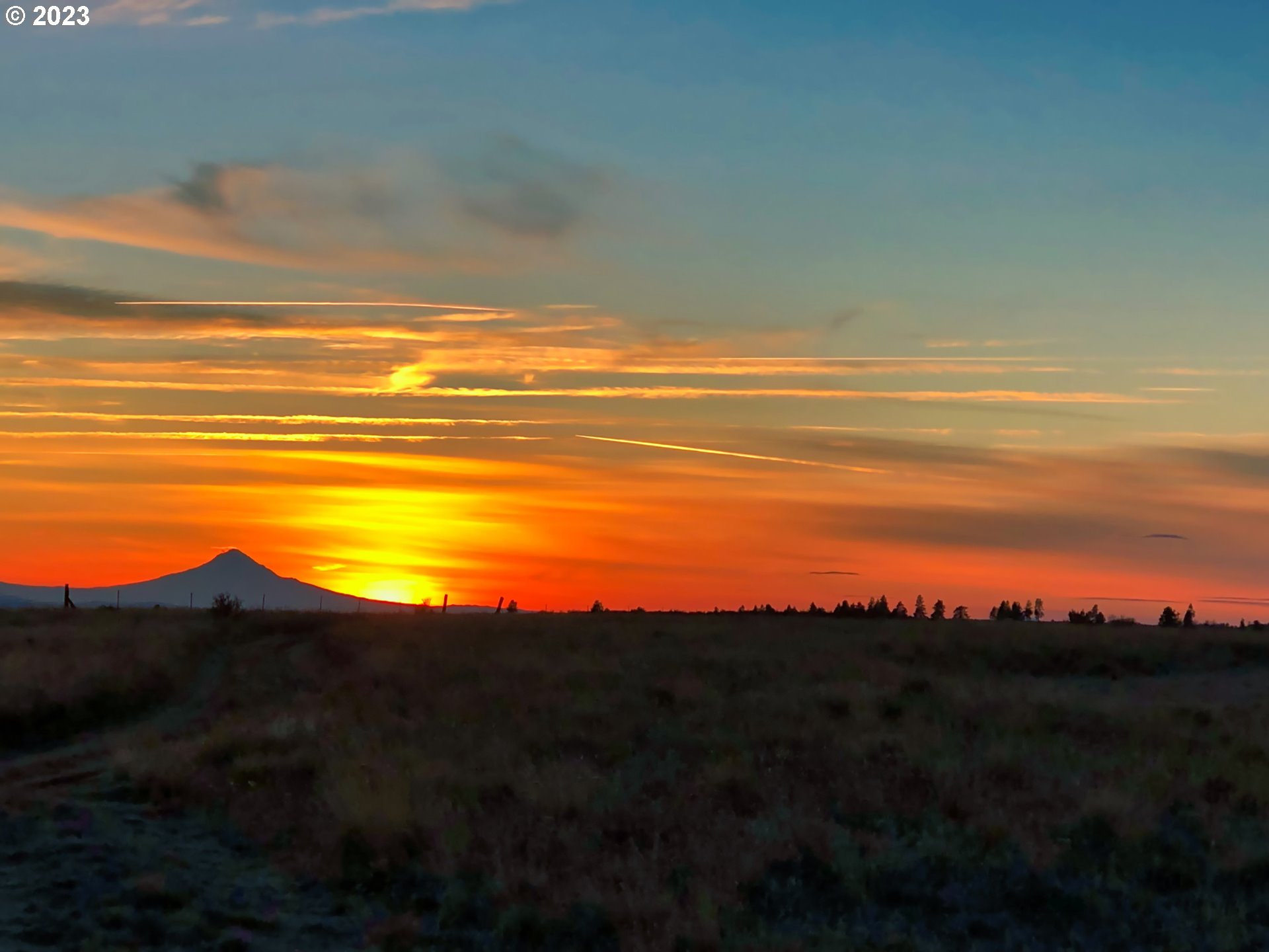 Dot Road, Unit 19 Roosevelt, WA 99356 - Photo 44 of 44 Gallery Image 44
