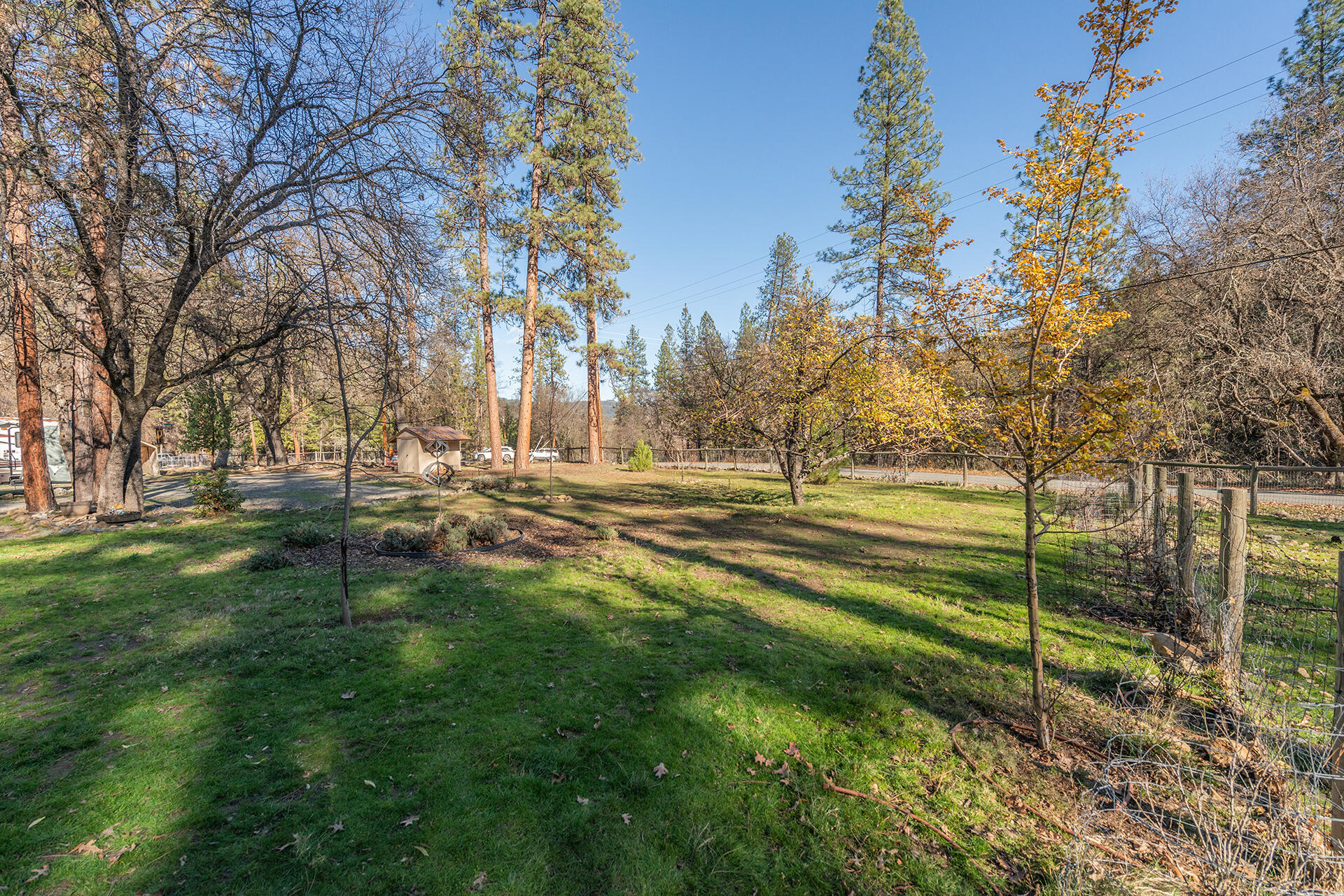 215 Wellock Road Lewiston, CA 96052 - Photo 26 of 39 IMG-7608