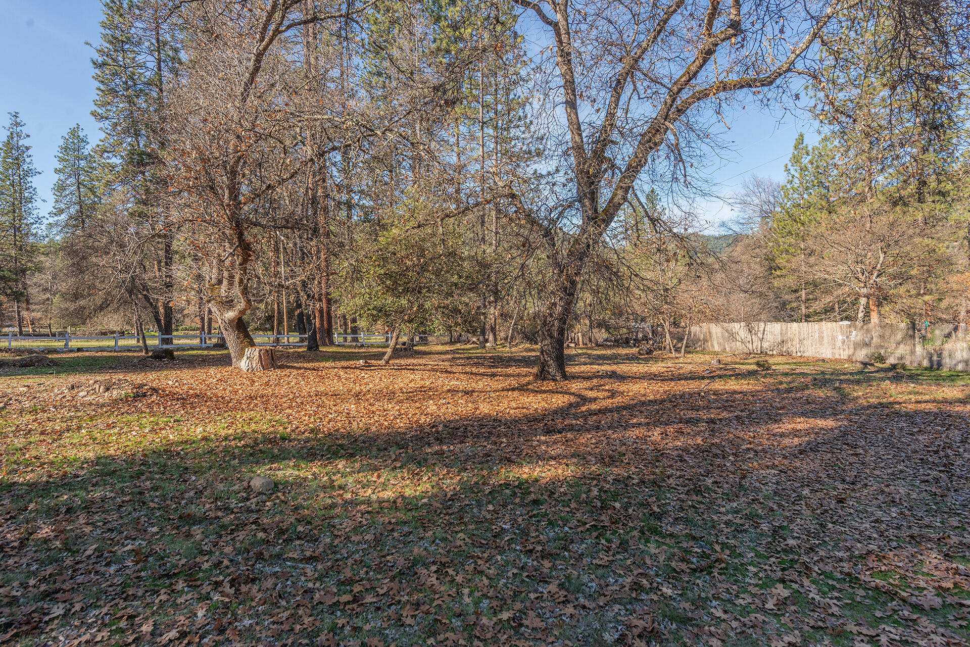 215 Wellock Road Lewiston, CA 96052 - Photo 28 of 39 IMG-7617