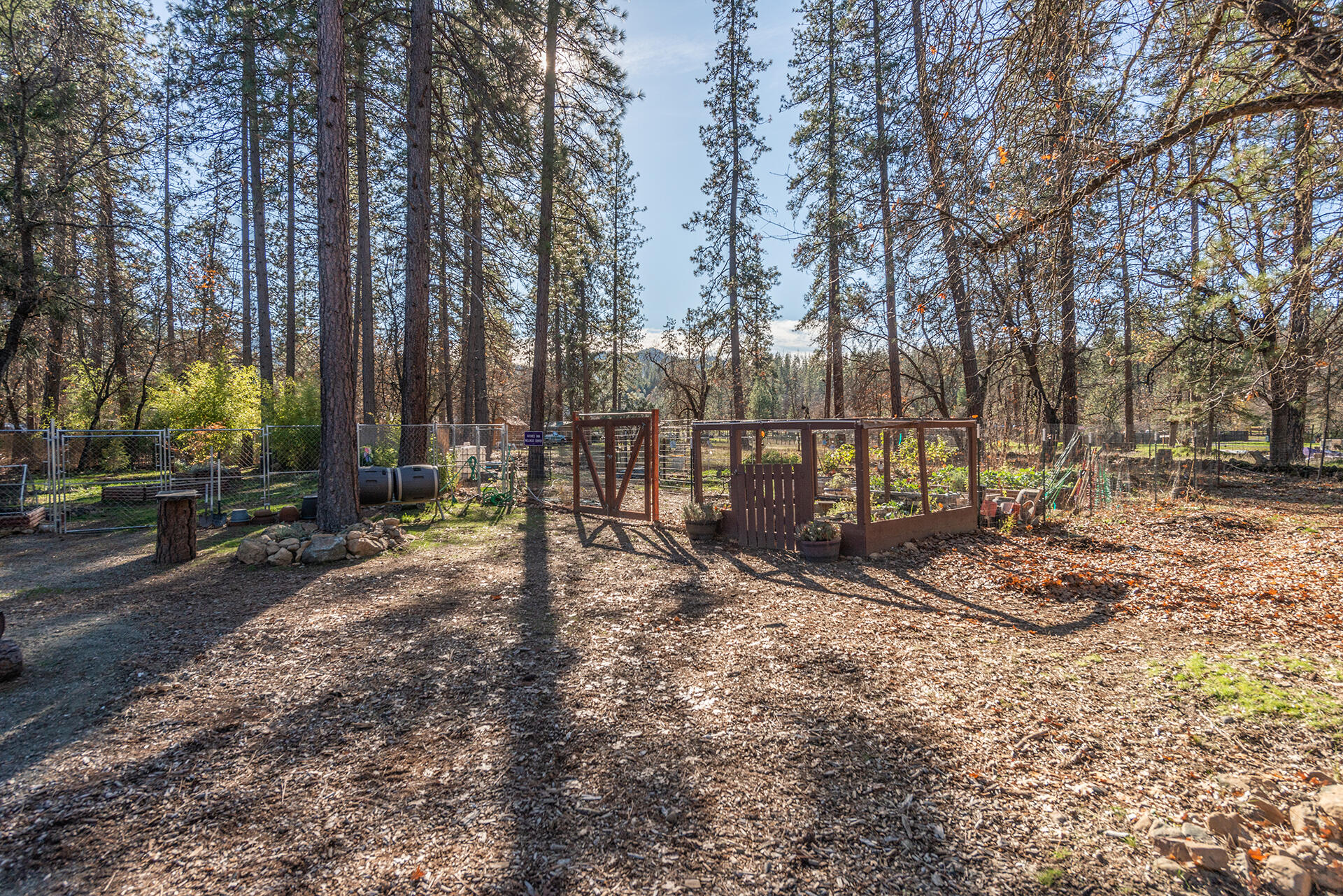 215 Wellock Road Lewiston, CA 96052 - Photo 30 of 39 IMG-7625