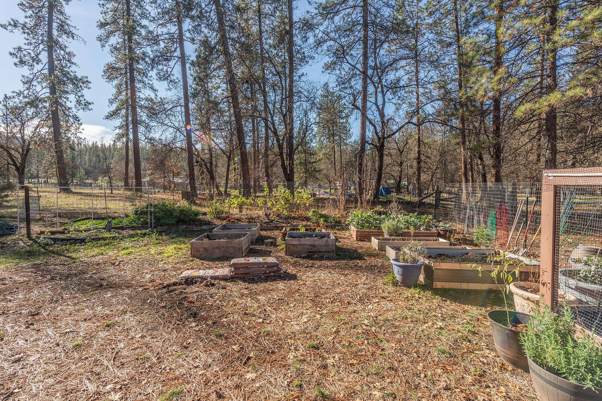 215 Wellock Road Lewiston, CA 96052 - Photo 34 of 39 IMG-7631