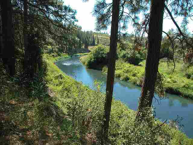 10802 South Hangman Valley Road Spokane, WA 99224 - Photo 3 of 9 Gallery Image 3