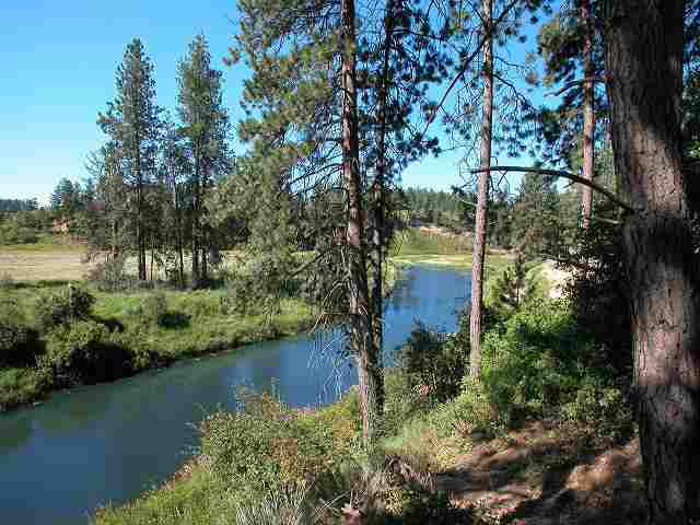 10802 South Hangman Valley Road Spokane, WA 99224 - Photo 8 of 9 Gallery Image 8