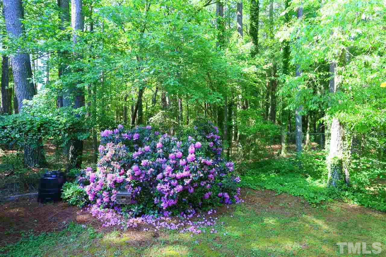 321 Bentpine Drive Raleigh, NC 27603 - Photo 22 of 30 a view of a flower in a garden