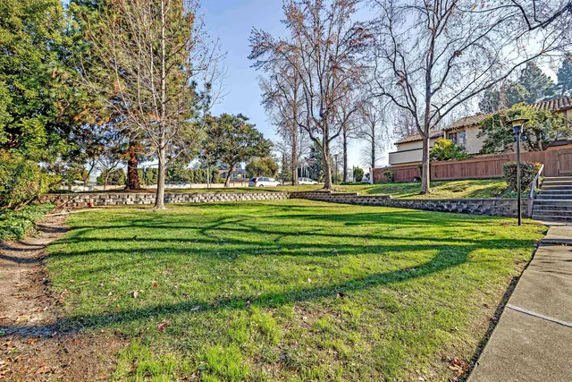 a park view with large trees