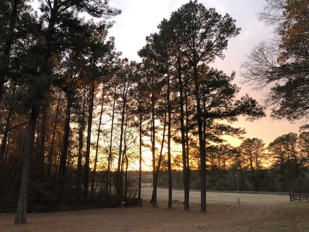 430 George Boutwell Cutoff Road Laurel, MS 39443 - Photo 51 of 52 Gallery Image 51