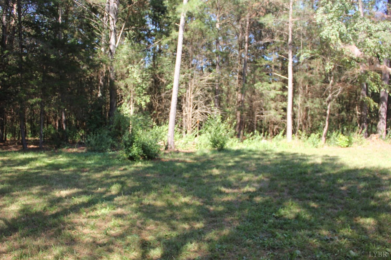 792 Fletchers Level Road Amherst, VA 24521 - Photo 40 of 40 a view of park