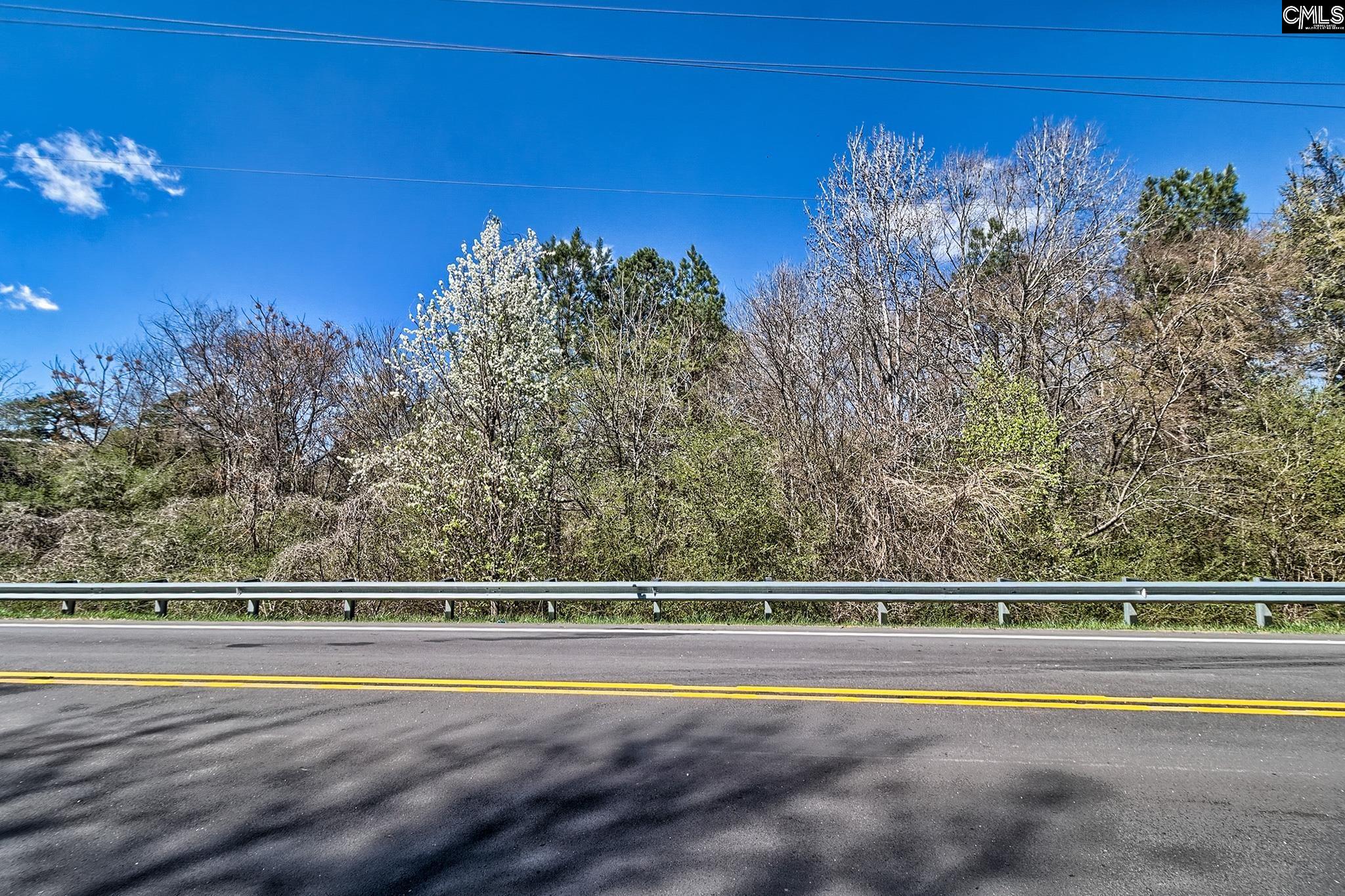 0 Smallstown Road Winnsboro, SC 29180 - Photo 8 of 27