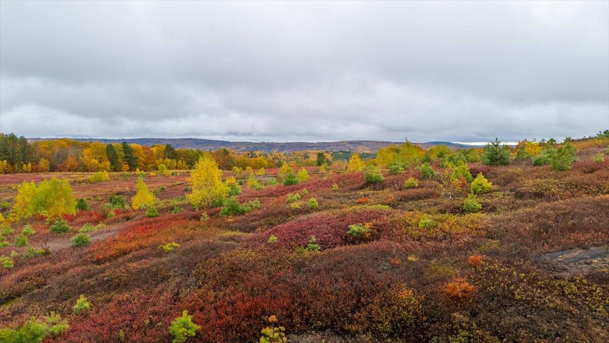 1490 Parmenter Road Palermo, ME 04354 - Photo 14 of 20