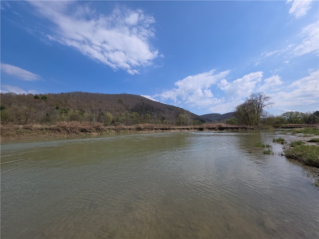 3741 Catatunk Road Canisteo, NY 14823 - Photo 12 of 50