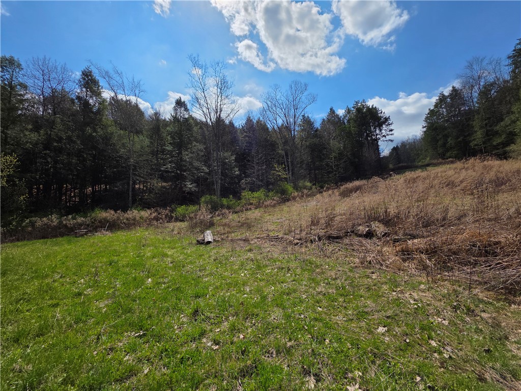3741 Catatunk Road Canisteo, NY 14823 - Photo 38 of 50