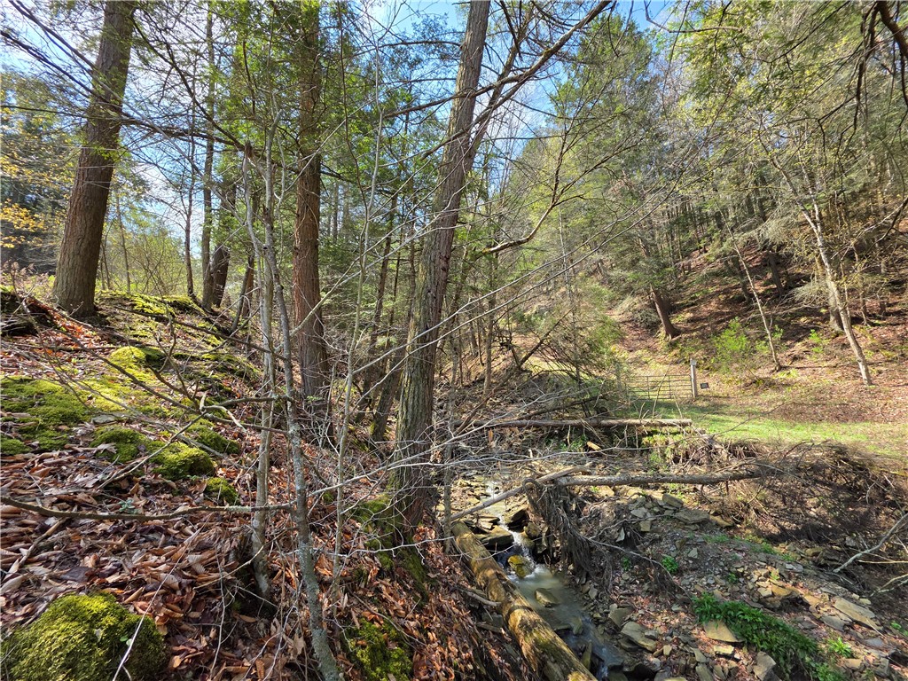 3741 Catatunk Road Canisteo, NY 14823 - Photo 39 of 50