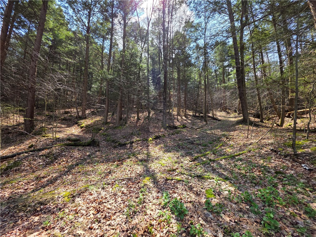 3741 Catatunk Road Canisteo, NY 14823 - Photo 40 of 50