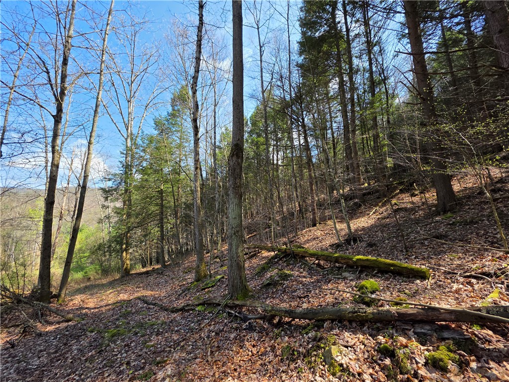 3741 Catatunk Road Canisteo, NY 14823 - Photo 41 of 50