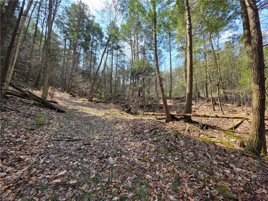 3741 Catatunk Road Canisteo, NY 14823 - Photo 42 of 50