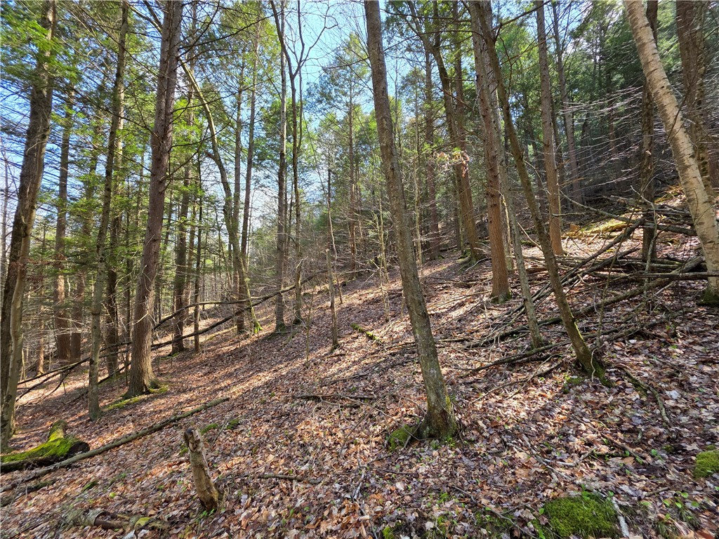 3741 Catatunk Road Canisteo, NY 14823 - Photo 43 of 50