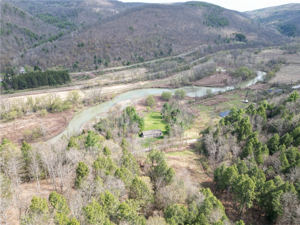 3741 Catatunk Road Canisteo, NY 14823 - Photo 46 of 50