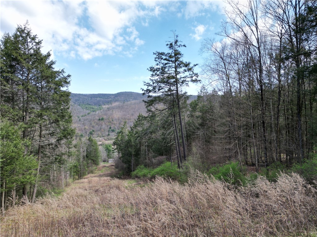 3741 Catatunk Road Canisteo, NY 14823 - Photo 47 of 50