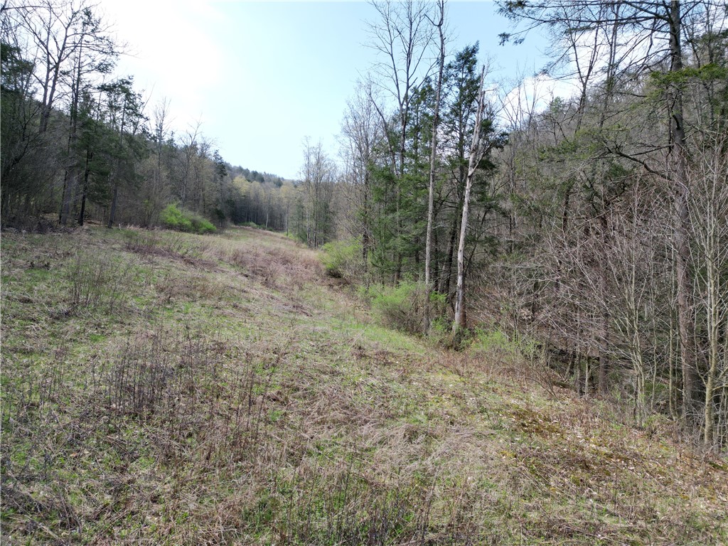3741 Catatunk Road Canisteo, NY 14823 - Photo 48 of 50