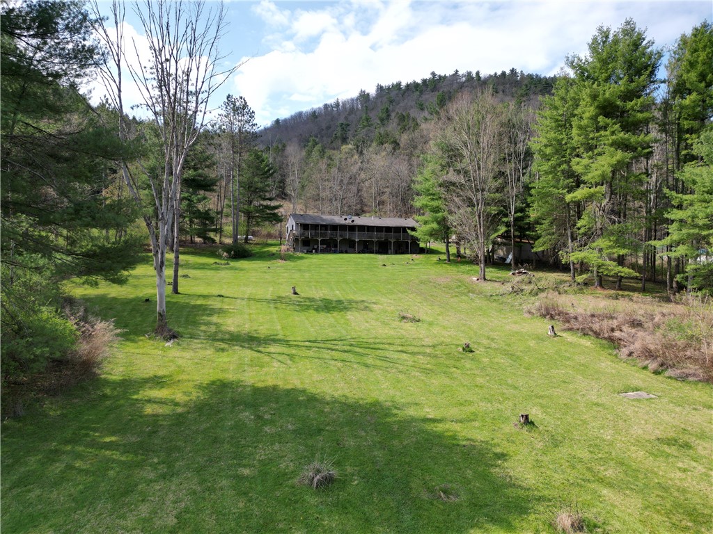 3741 Catatunk Road Canisteo, NY 14823 - Photo 6 of 50