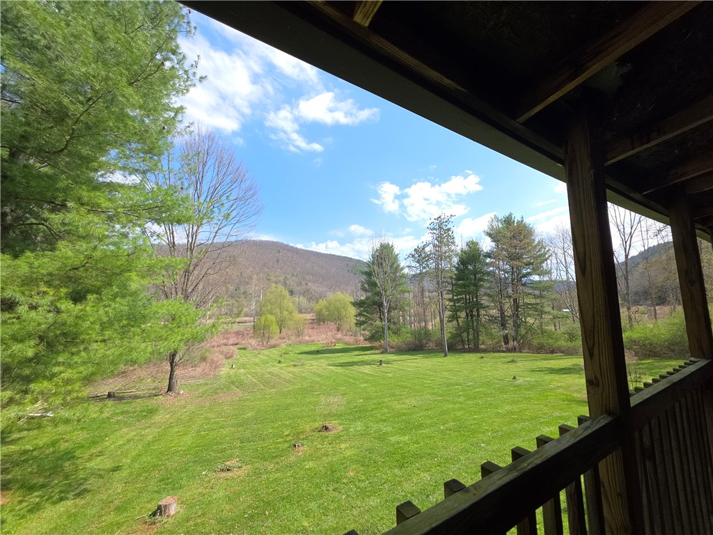 3741 Catatunk Road Canisteo, NY 14823 - Photo 9 of 50