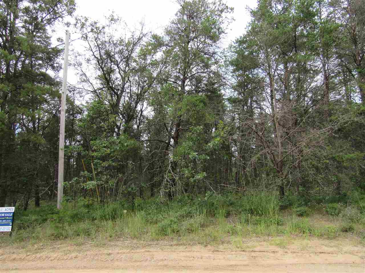 Xxx Kewanee Road St. Helen, MI 48656 - Photo 1 of 1