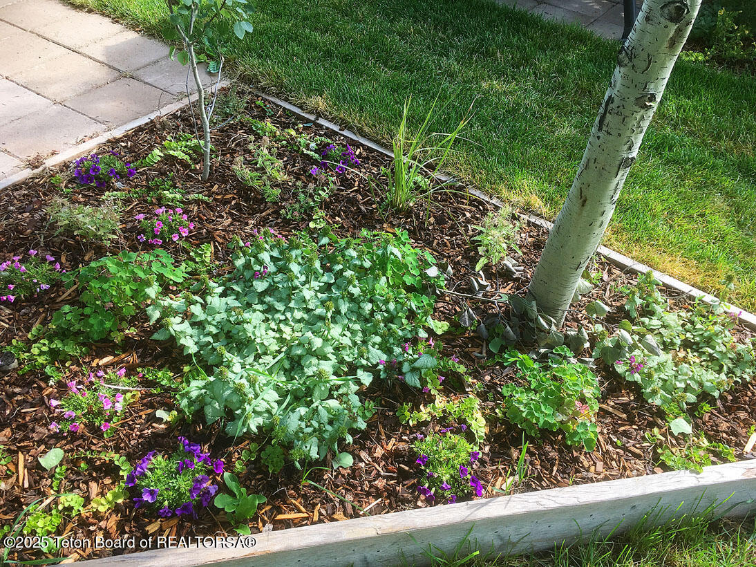 91008 Highway 89 Grover, WY 83122 - Photo 24 of 30 IMG_3924