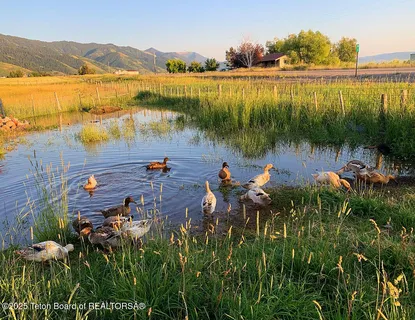 $515,000 | 91008 Highway 89, Grover, WY 83122