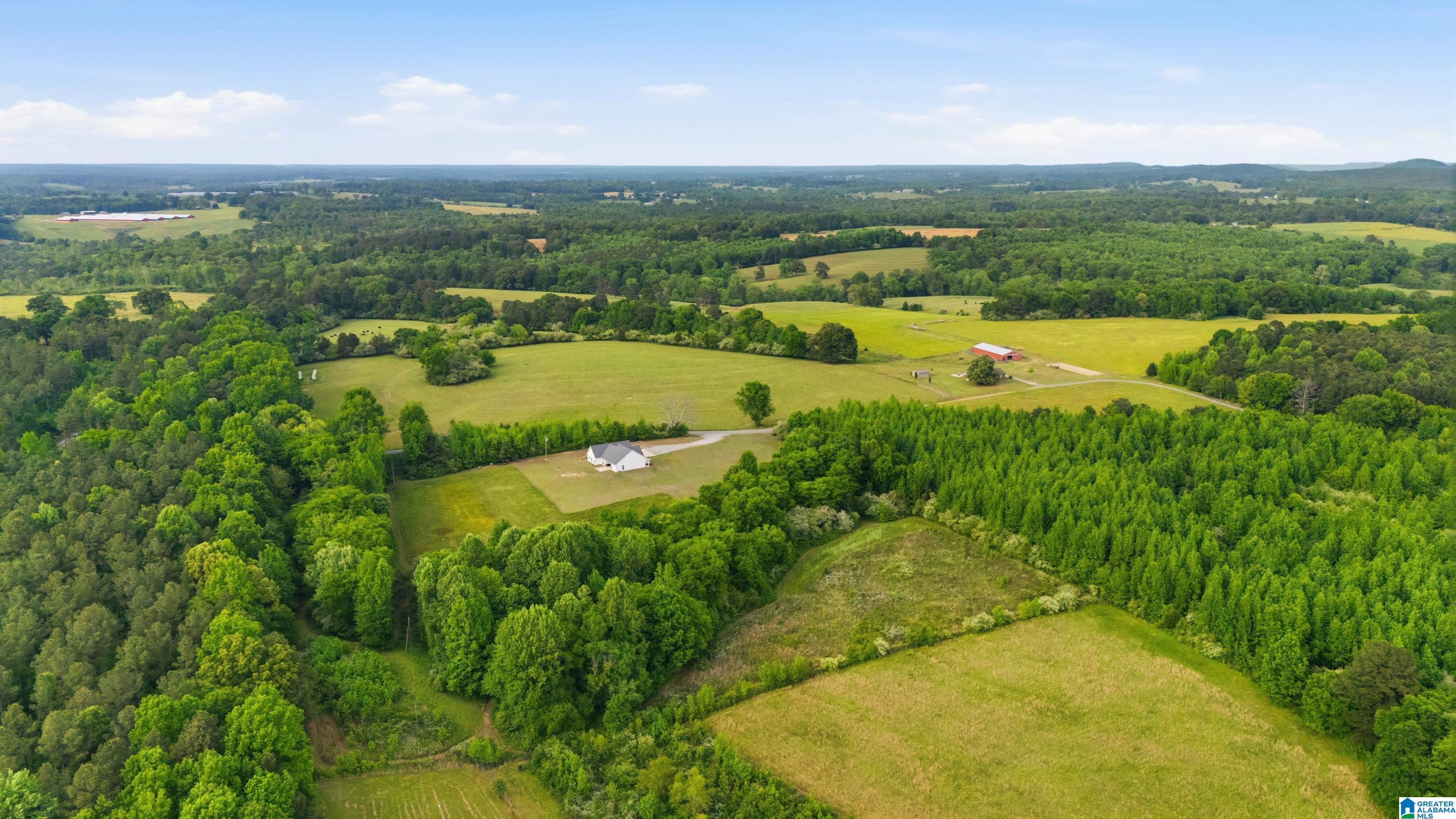 862 Hipp Road Blountsville, AL 35031 - Photo 50 of 50