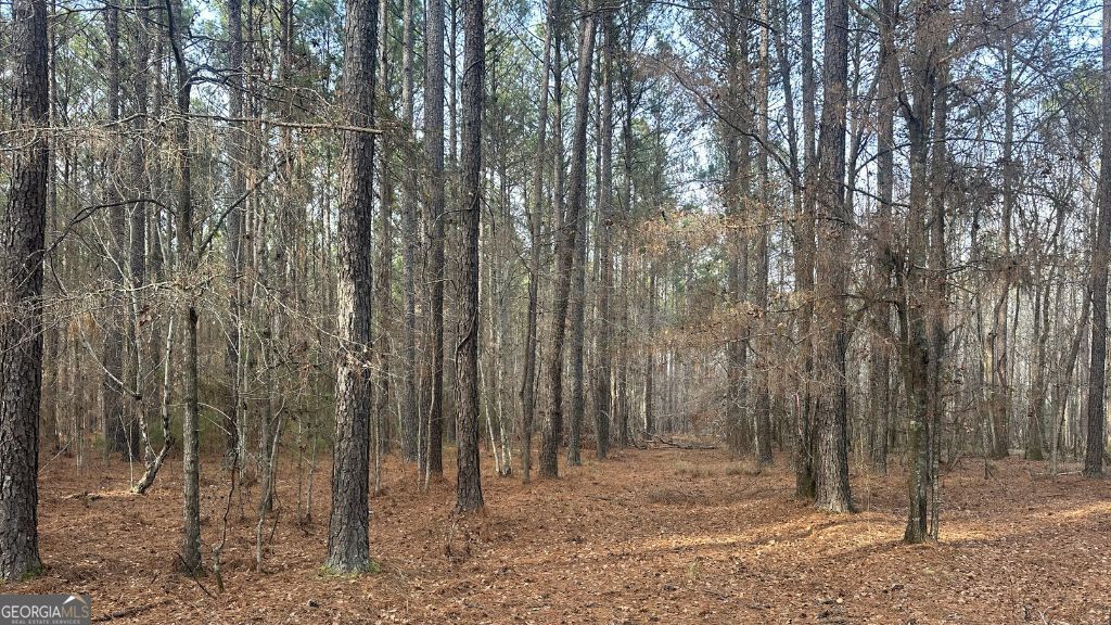 7 Country Club Road, Unit LOT 7 Sylvania, GA 30467 - Photo 15 of 31
