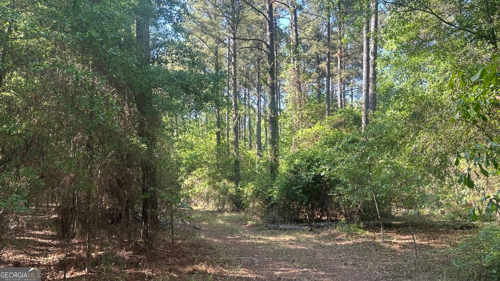 7 Country Club Road, Unit LOT 7 Sylvania, GA 30467 - Photo 20 of 31