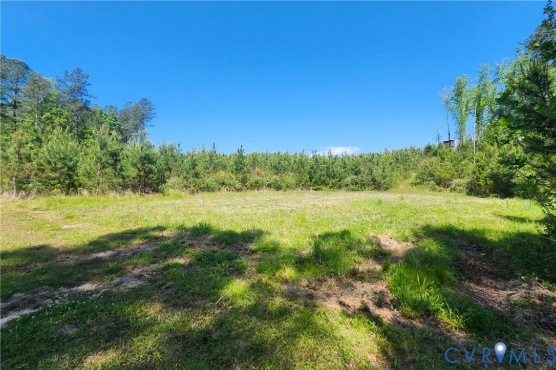 0 Chellowe Road Dillwyn, VA 23936 - Photo 24 of 52 a view of yard with green space