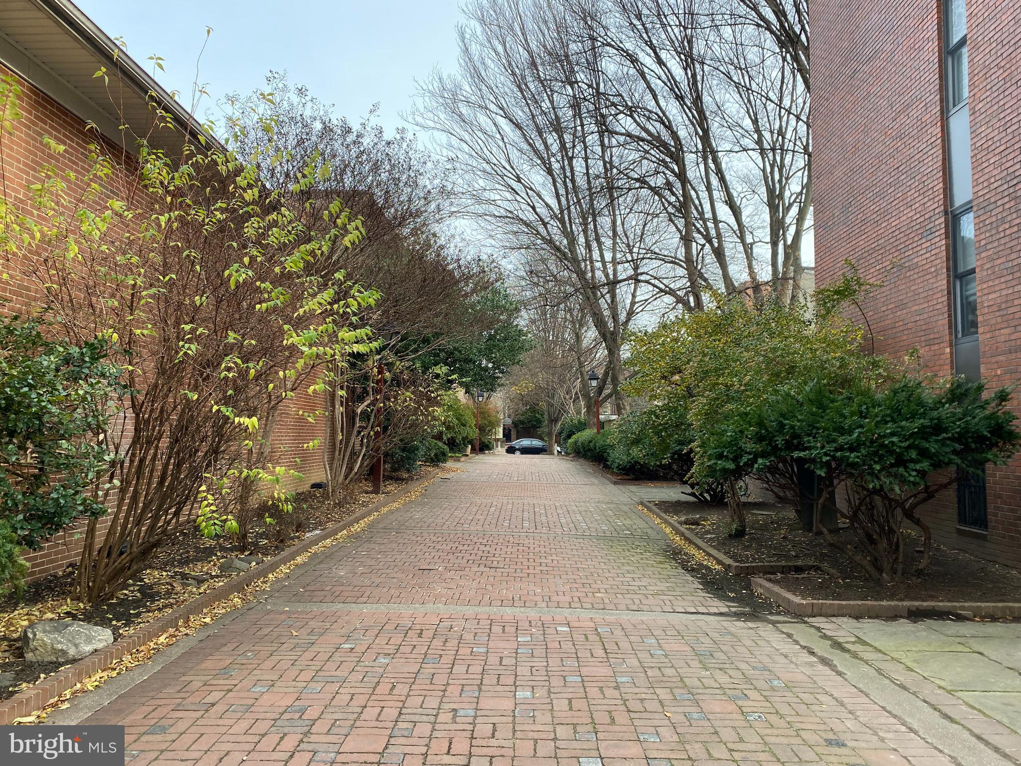 513 Pine Street Philadelphia, PA 19106 - Photo 30 of 32 a sidewalk with trees and wooden fence