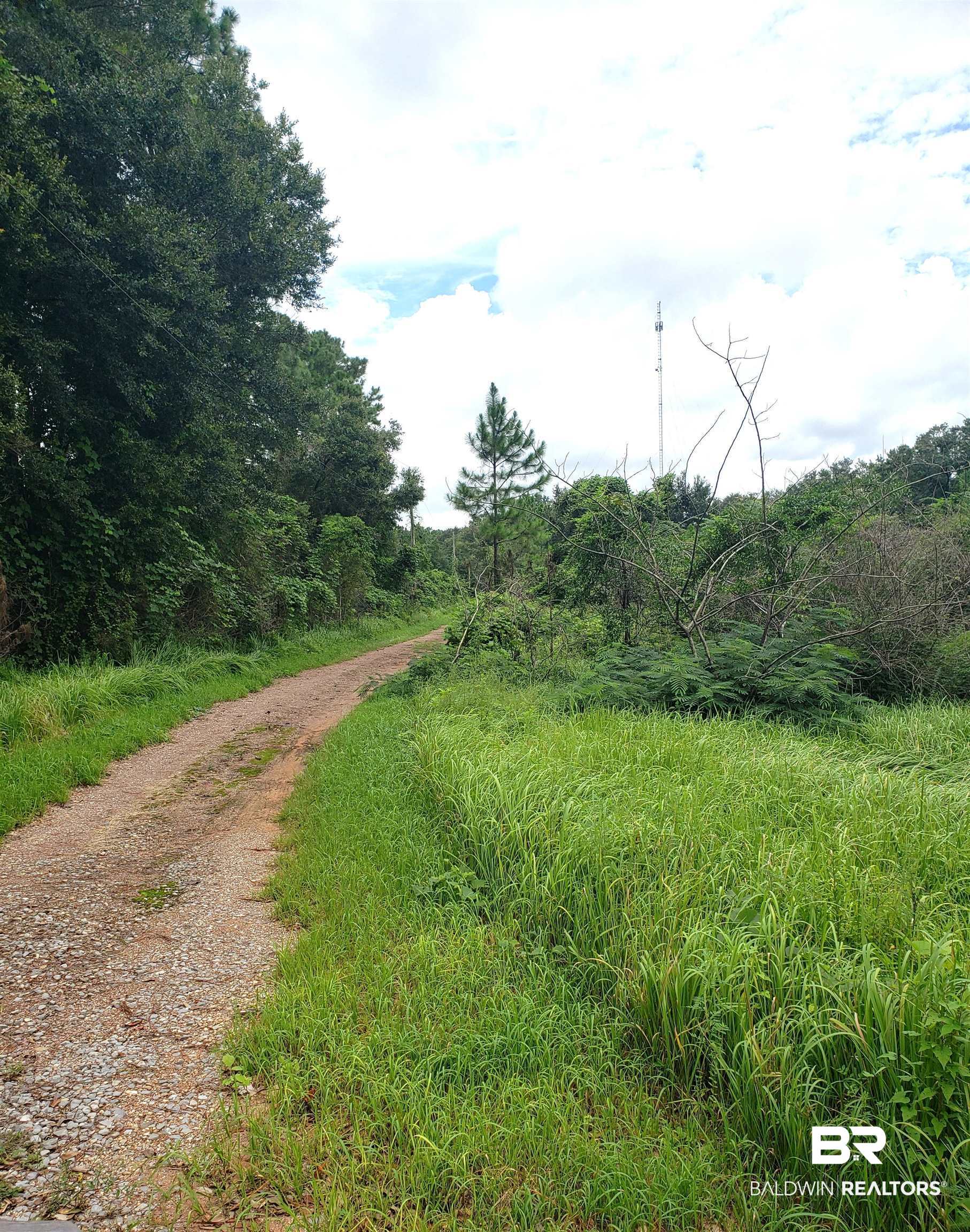 0 McLeod Road Mobile, AL 36695 - Photo 2 of 3