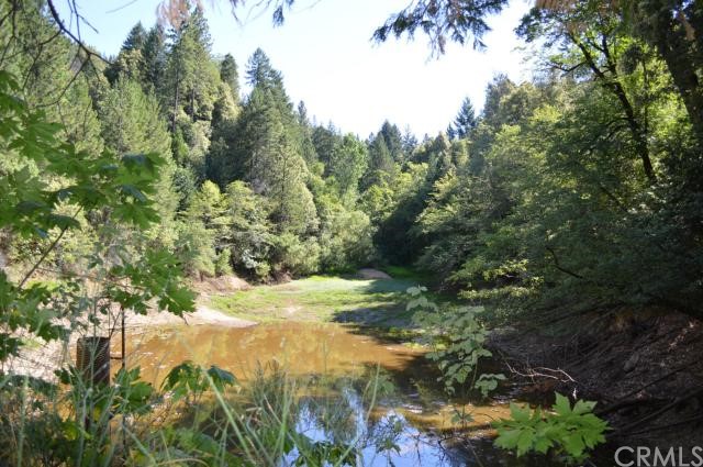 85 Mirage Lake Road Berry Creek, CA 95916 - Photo 1 of 1 Pond is low due to drought