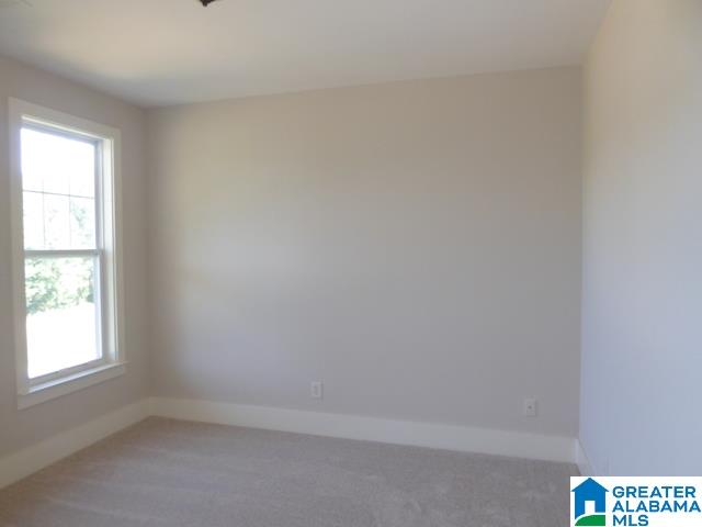 7301 Old Tannery Trail McCalla, AL 35111 - Photo 10 of 15