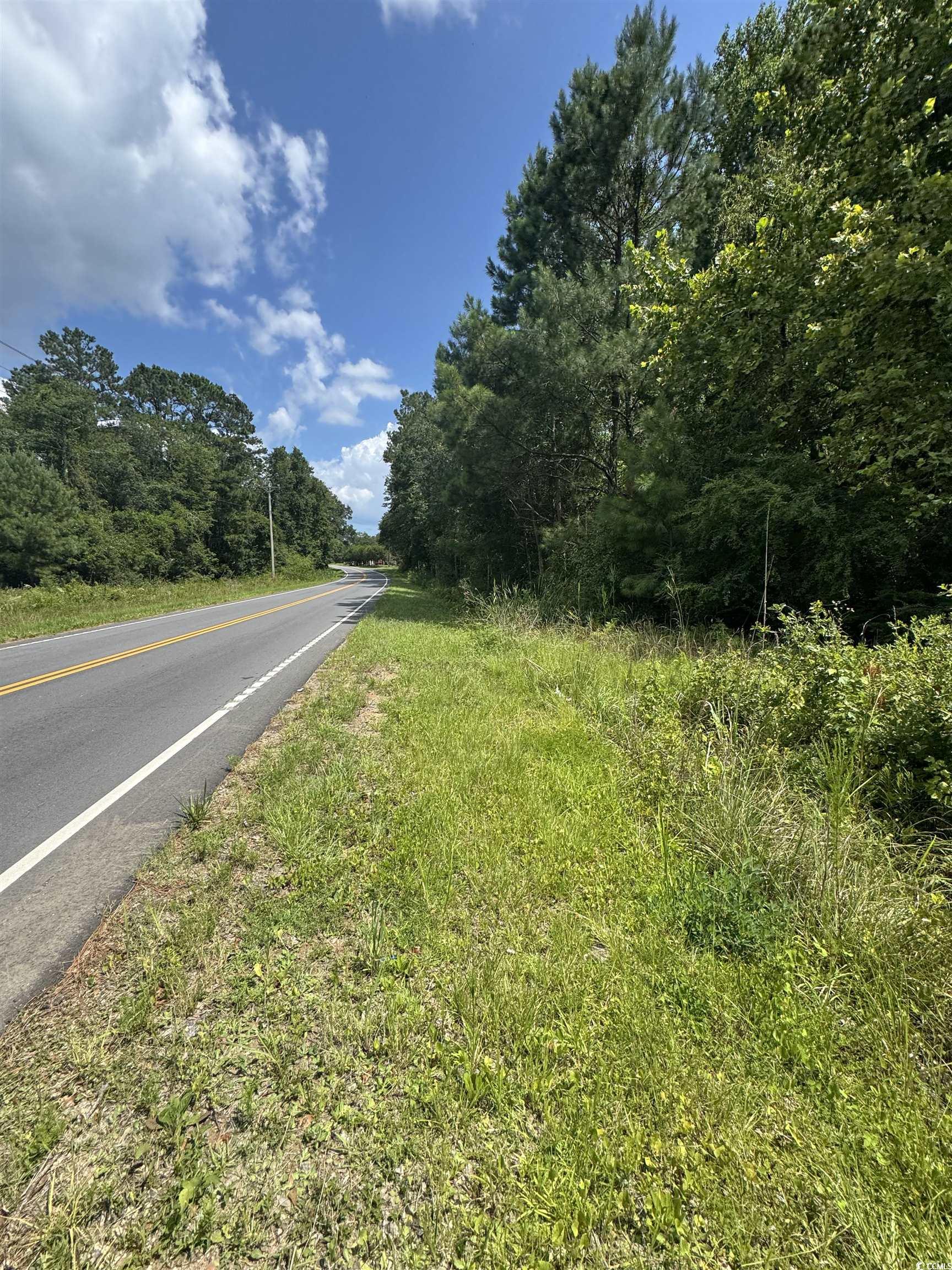 Tbd Society Drive Conway, SC 29527 - Photo 2 of 8