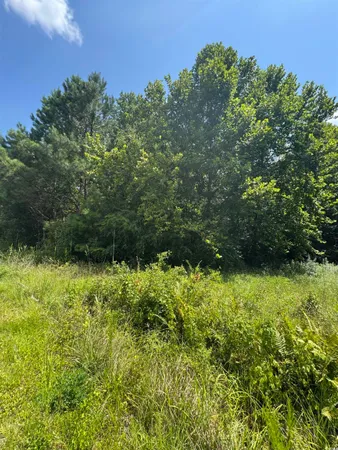 $340,000 | Tbd Society Drive, Conway, SC 29527