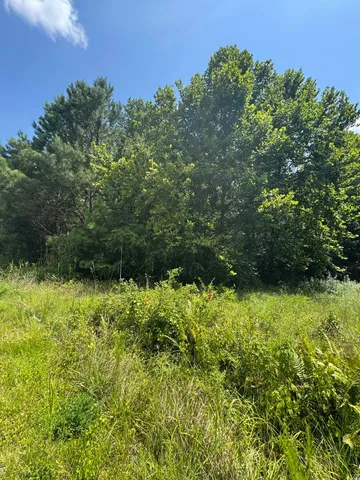 $360,000 | Tbd Society Drive, Conway, SC 29527