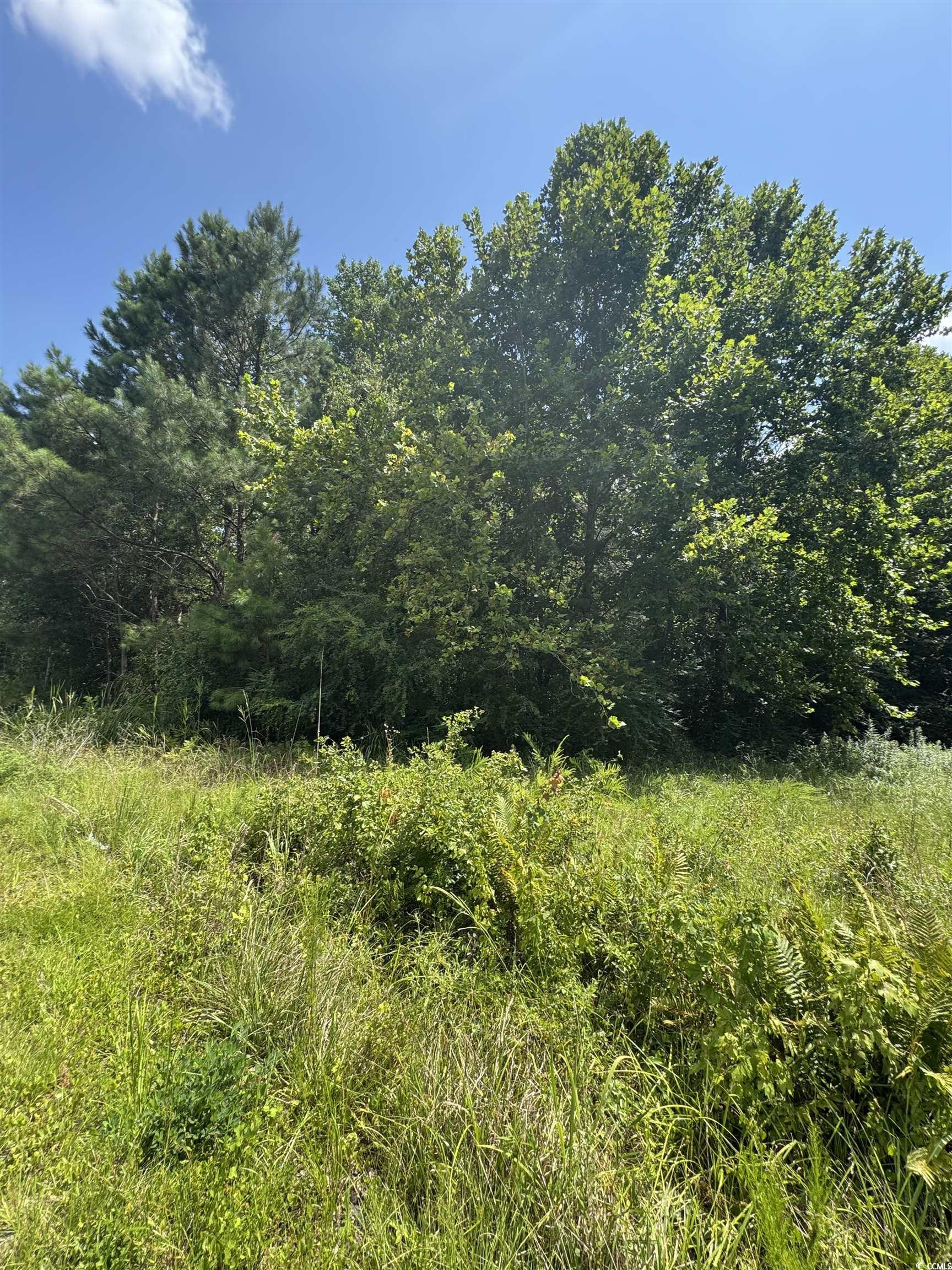 Tbd Society Drive Conway, SC 29527 - Photo 3 of 8