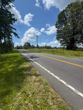 $340,000 | Tbd Society Drive, Conway, SC 29527
