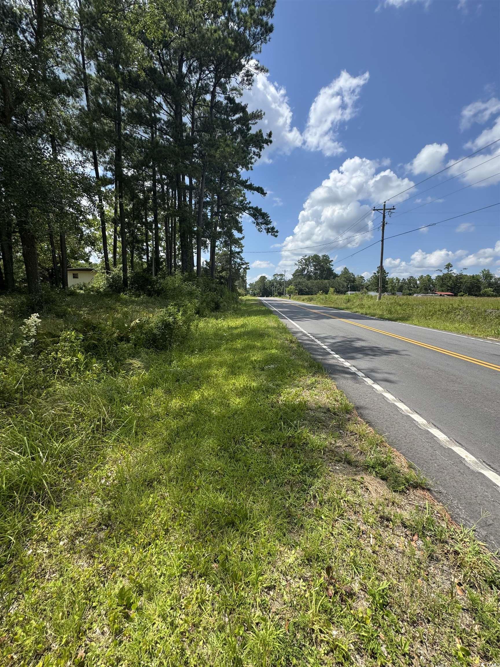 Tbd Society Drive Conway, SC 29527 - Photo 5 of 8